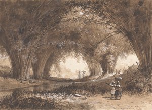 Bambusowi łuki, St. Anns