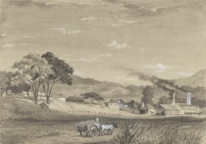 Posiadłość ogrodowa, Arouca autorstwa Michel Jean Cazabon
