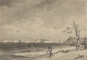 Los Gallos, zatoka Icacos