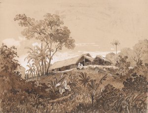 A Casa de Campo, Monte Tamanapolish