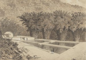 Zbiornik w Maraval autorstwa Michel Jean Cazabon