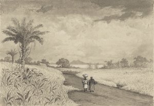 O caminho para o campo Lakepolish autorstwa Michel Jean Cazabon