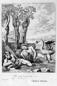 Łabędź przemieniony w łabędzia, a siostry Faetony w topole, 1655