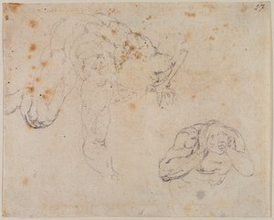Kopia z Sądu Ostatecznego autorstwa Michelangelo (after) Buonarroti