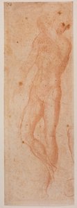 Badania męskiej nagości autorstwa Michelangelo (after) Buonarroti