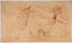 Studia aktów autorstwa Michelangelo (after) Buonarroti