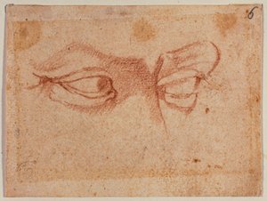 Badanie oczu autorstwa Michelangelo (after) Buonarroti