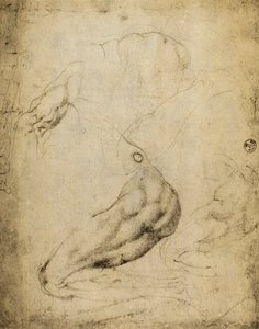 Studium anatomiczne: rysunek Michała Anioła zachowany w Sali Rysunków i Grafiki, Galeria Uffizi, Florencja. autorstwa Michelangelo Buonarroti
