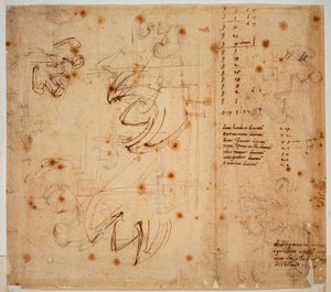 Badania i liczenie autografów autorstwa Michelangelo Buonarroti