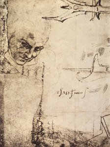 Twarz, rysunek Michała Anioła, Gabinet Rysunków i Grafiki, Galeria Uffizi, Florencja autorstwa Michelangelo Buonarroti