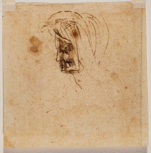 Głowa kobiety autorstwa Michelangelo Buonarroti