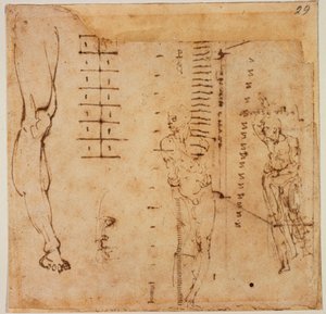 Badania rysunkowe autorstwa Michelangelo Buonarroti