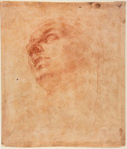 Studium głowy dla Jonasza z Sykstyny autorstwa Michelangelo Buonarroti