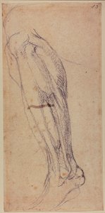 Badanie nóg autorstwa Michelangelo Buonarroti