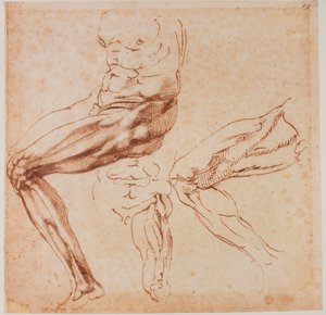 Badania nóg autorstwa Michelangelo Buonarroti