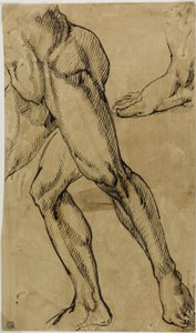 Nogi i stopy nagości męskiej autorstwa Michelangelo Buonarroti
