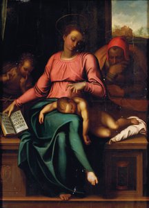 Madonna Ciszy autorstwa Michelangelo Buonarroti
