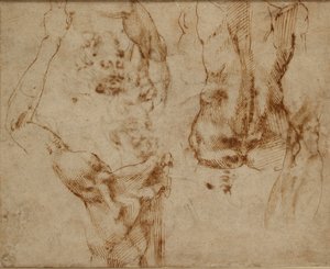 Studia aktowe, c1490-1560 autorstwa Michelangelo Buonarroti