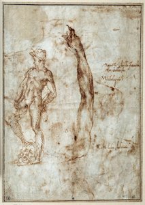 Badanie nago. Michelangelo Buonarroti dit Michelangelo (Michelangelo lub Michel Ange autorstwa Michelangelo Buonarroti