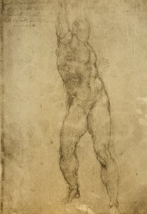 Studium aktu, rysunek Michała Anioła. Gallerie dellAccademia, Wenecja autorstwa Michelangelo Buonarroti
