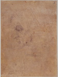 Profil starej kobiety autorstwa Michelangelo Buonarroti