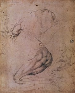 Sufit Kaplicy Sykstyńskiej (1508-12): szkice postaci Ewy ze sceny Grzechu Pierworodnego (węgiel na papierze) autorstwa Michelangelo Buonarroti