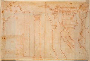 Badania zabytków rzymskich autorstwa Michelangelo Buonarroti