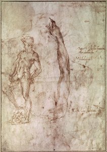 Studium dla Dawida (pióro i tusz na papierze) autorstwa Michelangelo Buonarroti