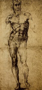 Studium aktu męskiego, Michelangelo Buonarroti (1475-1564), rysunek, Paryż, Luwr