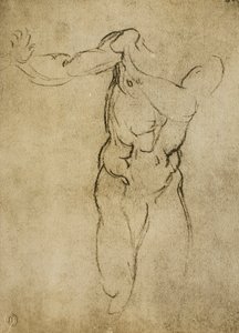 Studium męskiego popiersia, rysunek Michała Anioła. Casa Buonarroti, Florencja autorstwa Michelangelo Buonarroti