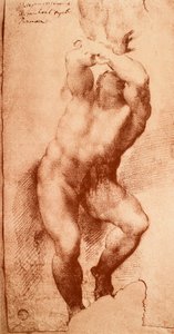 Studium jednej z postaci Sądu Ostatecznego, rysunek Michała Anioła. Gallerie dellAccademia, Wenecja autorstwa Michelangelo Buonarroti