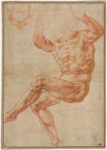 Studium dla nagiej młodzieży nad prorokiem Danielem (recto) autorstwa Michelangelo Buonarroti