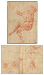 Studium dla nagiej młodzieży nad prorokiem Danielem (recto); Badania figur dla sufitu Sykstyńskiego (verso) autorstwa Michelangelo Buonarroti
