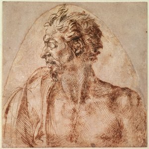 Studium głowy i ramion (tusz na papierze) autorstwa Michelangelo Buonarroti