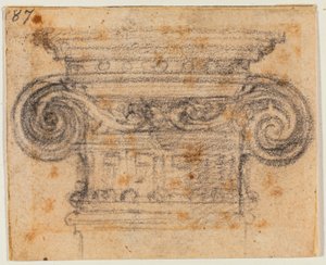 Badanie kapitału jonowego autorstwa Michelangelo Buonarroti