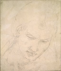 Studium Głowy, c1490-1560 autorstwa Michelangelo Buonarroti