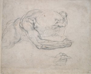 Studium człowieka powstającego z ziemi, XVI wiek autorstwa Michelangelo Buonarroti