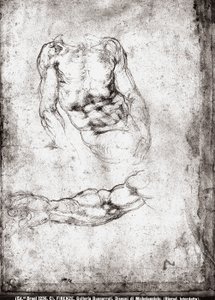 Badanie męskiego tułowia i ramienia autorstwa Michelangelo Buonarroti