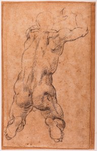 Studium klęczącego męskiego aktu autorstwa Michelangelo Buonarroti