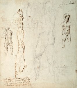 Studium Dzieciątka Jezus i rysunek anatomiczny z notatkami (czarna kreda i brązowy tusz na papierze) (verso) autorstwa Michelangelo Buonarroti