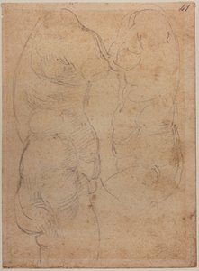 Dwa badania starożytnej Wenus autorstwa Michelangelo Buonarroti