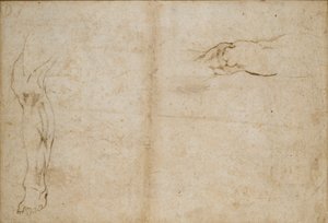 Verso: Studia nogi mężczyzny, c1490-1560 autorstwa Michelangelo Buonarroti