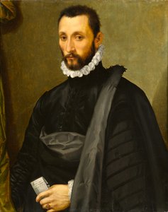 Portret dżentelmena, 1575
