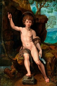 „Reprezentacja św. Jana Chrzciciela” (św. Jan Chrzciciel) Obraz Michaela Coxcie (Michiel Coxien) (De Coxien, De Coxcie, Coxius, Van Coxcie i Coxie) (1499-1592) XVI wiek Olej na drewnie Dim 104x73 cm Kolekcja prywatna autorstwa Michiel I Coxie or Coxcie