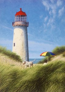 Dzień na wydmach autorstwa Mike Briscoe