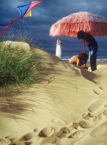  autorstwa Mike Briscoe