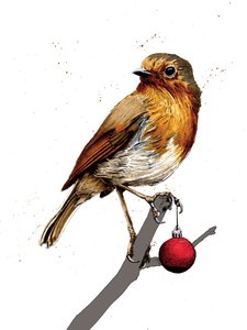 Świąteczny Robin na białym, 2020