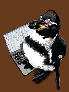 Nowy Job Penguin na Burnt Orange, 2020