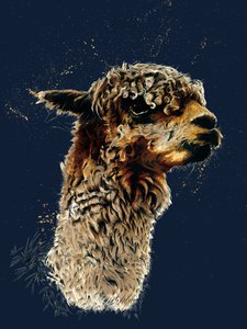 Alpaka na Midnight Blue, 2020 autorstwa Mike Davis