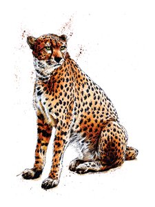 Gepard na białym, 2020 autorstwa Mike Davis